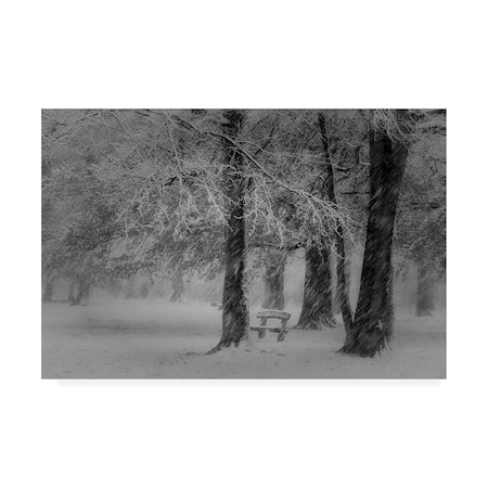 Saskia Dingemans 'Transformation Winter Mastbos' Canvas Art,30x47